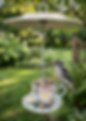 A decorative teacup bird feeder hanging in a garden with a woodpecker perched on the edge eating seeds.