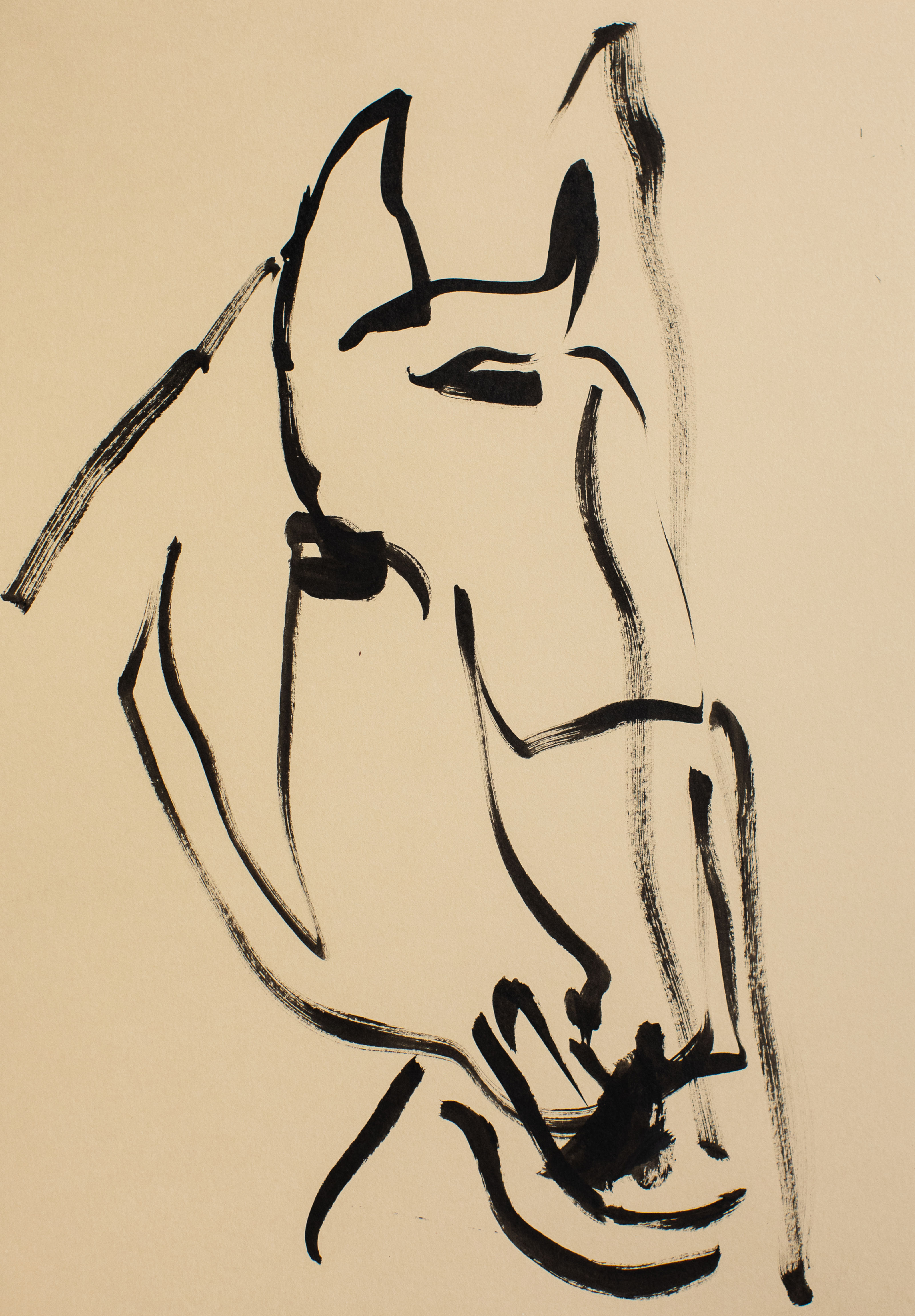 Ink Horse Study on Beige  No. 1 (print)