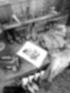 Golden goose - drawn somewhere - rebekah mackay_edited.jpg