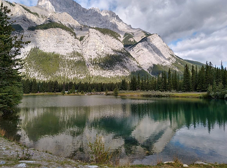 Imagen 26-2-26 a las 12.41.png