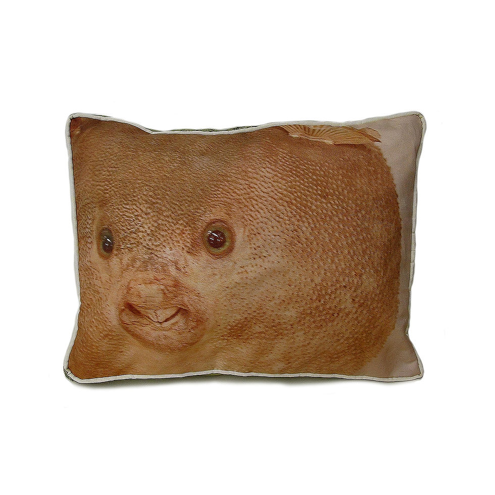 Thumbnail: Boxed rectangular cushion