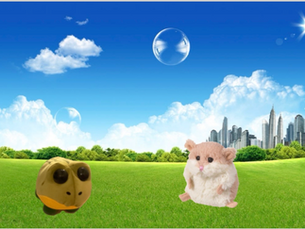 “THE BOOK ABOUT WHEN THE HAMSTER AND THE BULLFROG GOT TRAPPED IN A WASHING MACHINE ” by Bobert