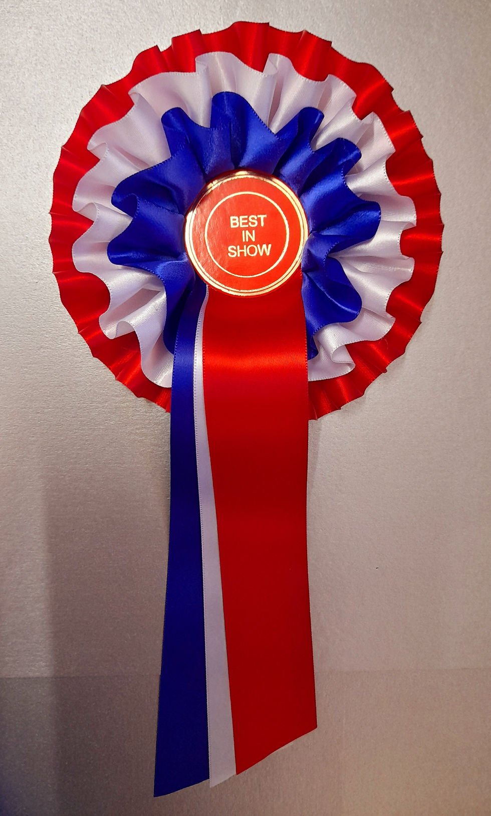 Thumbnail: Best in Show and Reserve best in show 38mm ribbon