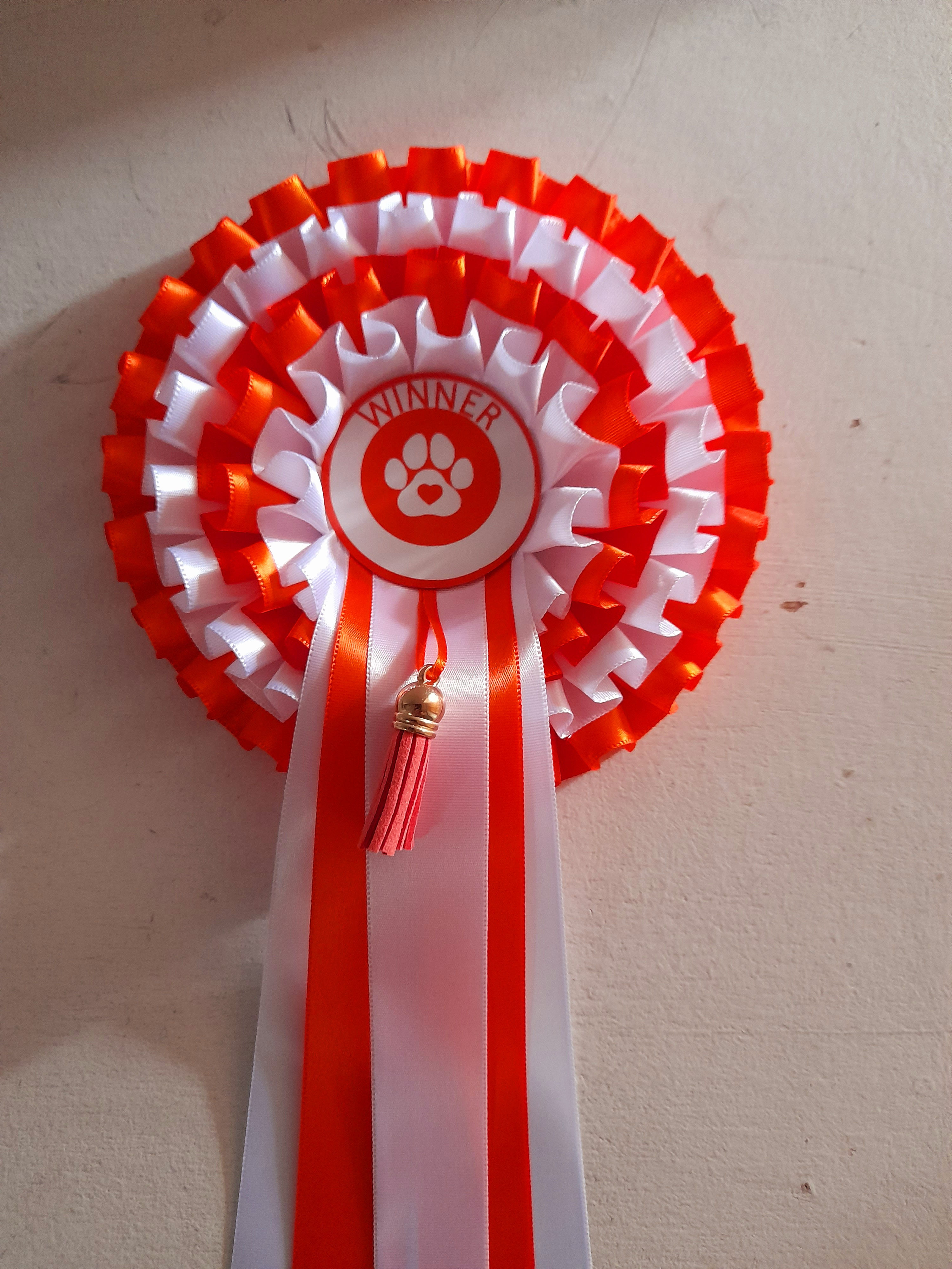 4 tier winner rosette with a tassel.