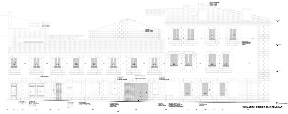 ELEVATIONS PROJET BEYSSACP.jpg