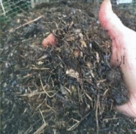 first turn_edited_edited_edited.jpg