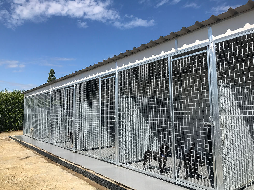 Thumbnail: Bespoke Kennel Projects