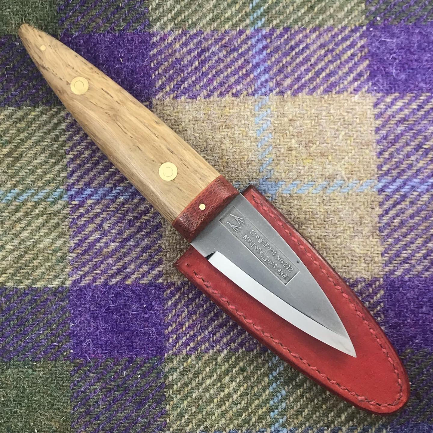 61/2" Oak and Orange  Sgian Dubh #232