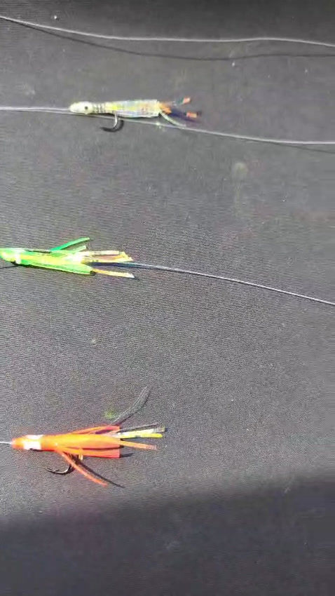 Thumbnail: MACKEREL FEATHER RIG + LURE