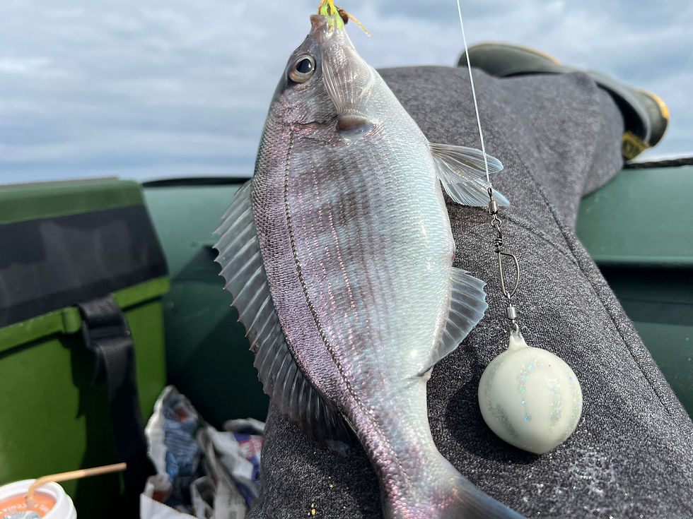 Thumbnail: BREAM BUNDLE