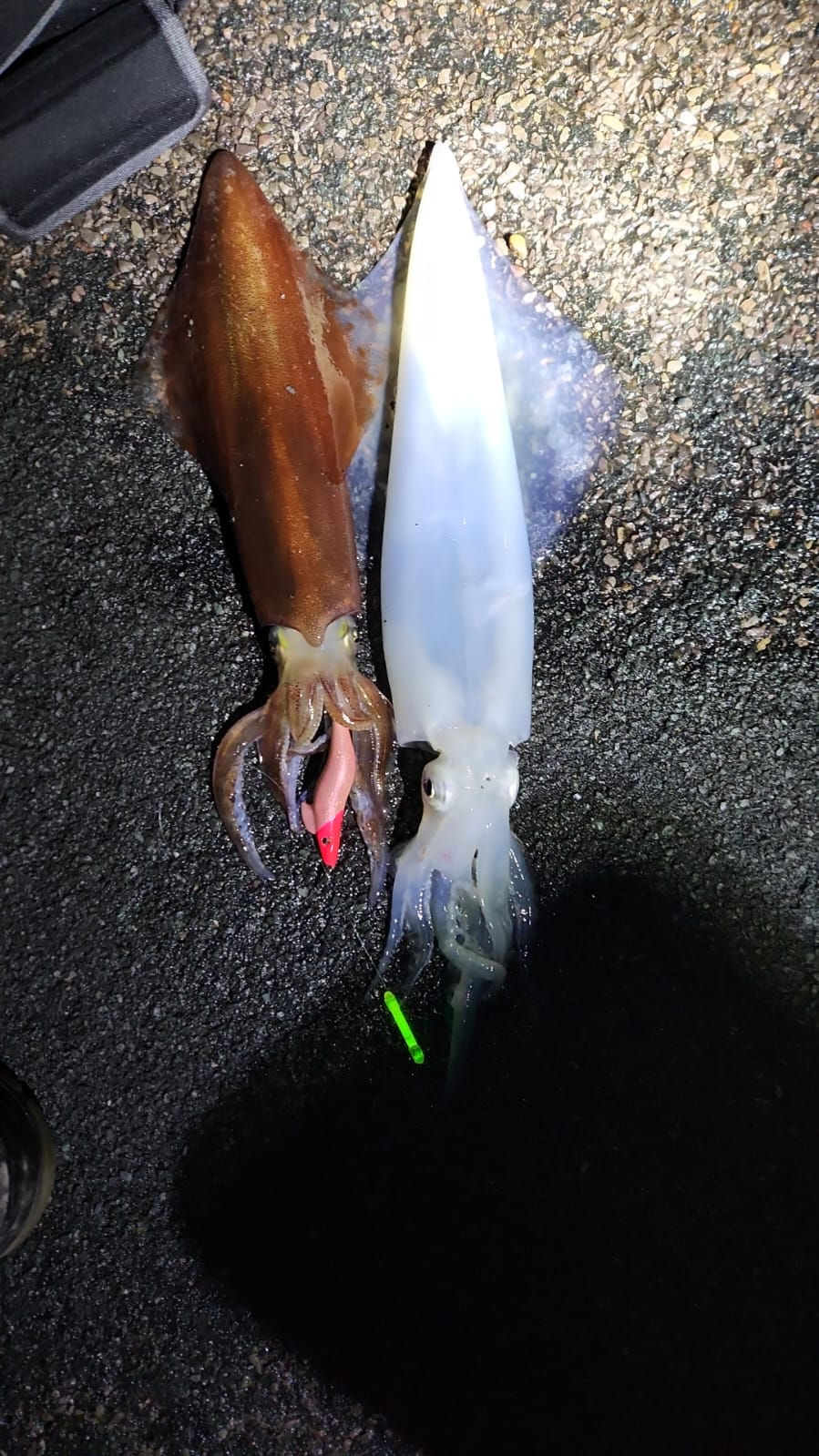 Thumbnail: SQUID JIGS (SQUID KING RANGE)