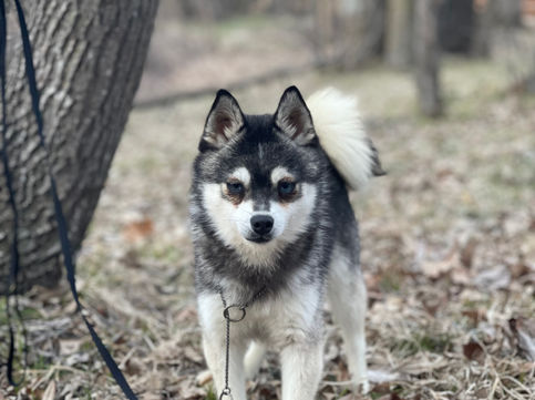 photo may 04, 7 43 51 pm.jpg