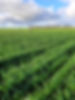 Analyzing GHG emissions data for farms and industries and finding cost-effective ways to reduce carbon footprint.