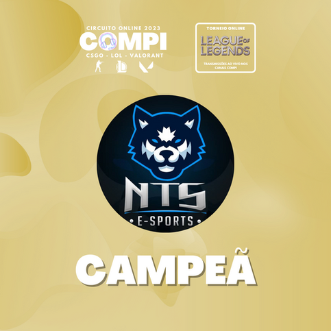 NTS TEAM E-SPORTS CAMPEÃ! DA LOWER PARA O TÍTULO!