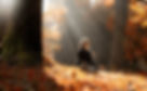 Autumnal Equinox Day Retreat