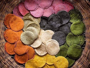 COLORES DEL MAÍZ