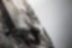 Article CFNews – La vision du M&A par Eiger Corporate Finance