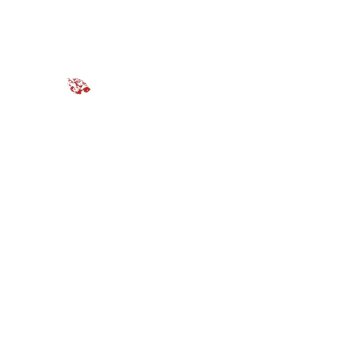 Comp-2_1.gif