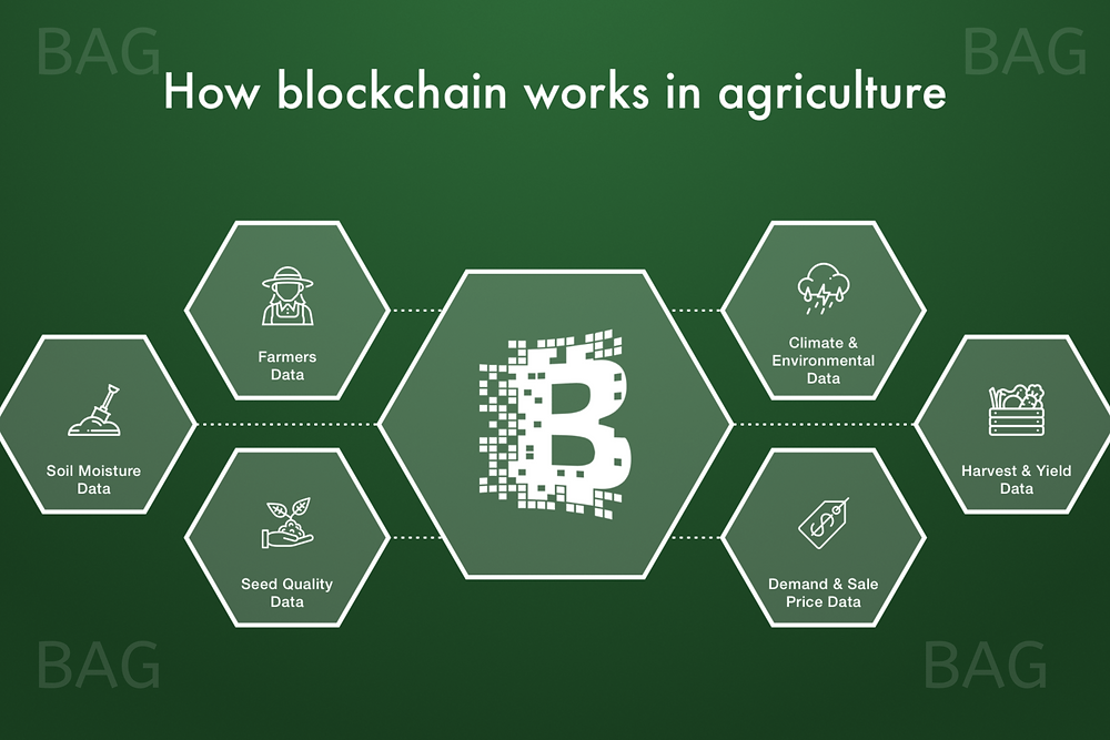 Agricultural Blockchain