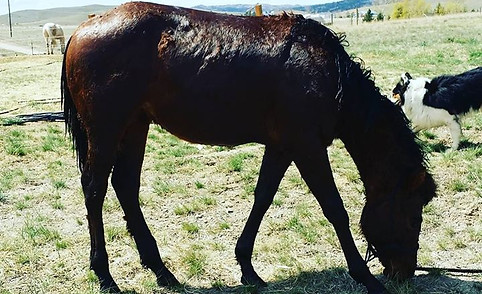 Little miss Irish got her first bath tod
