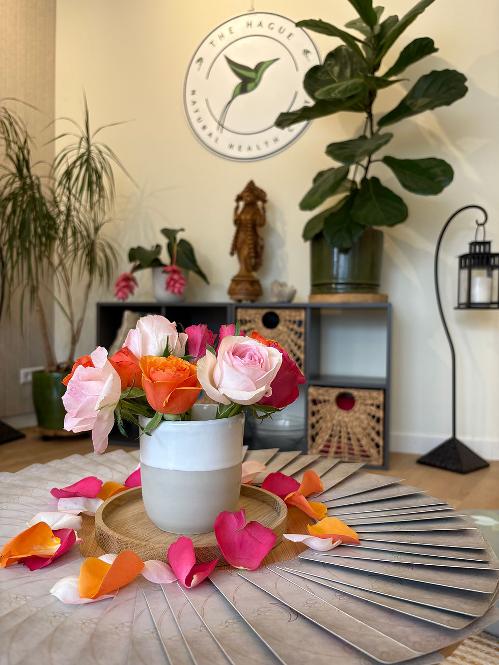 Exploring Relationships /. Meditation & Sharing Circle