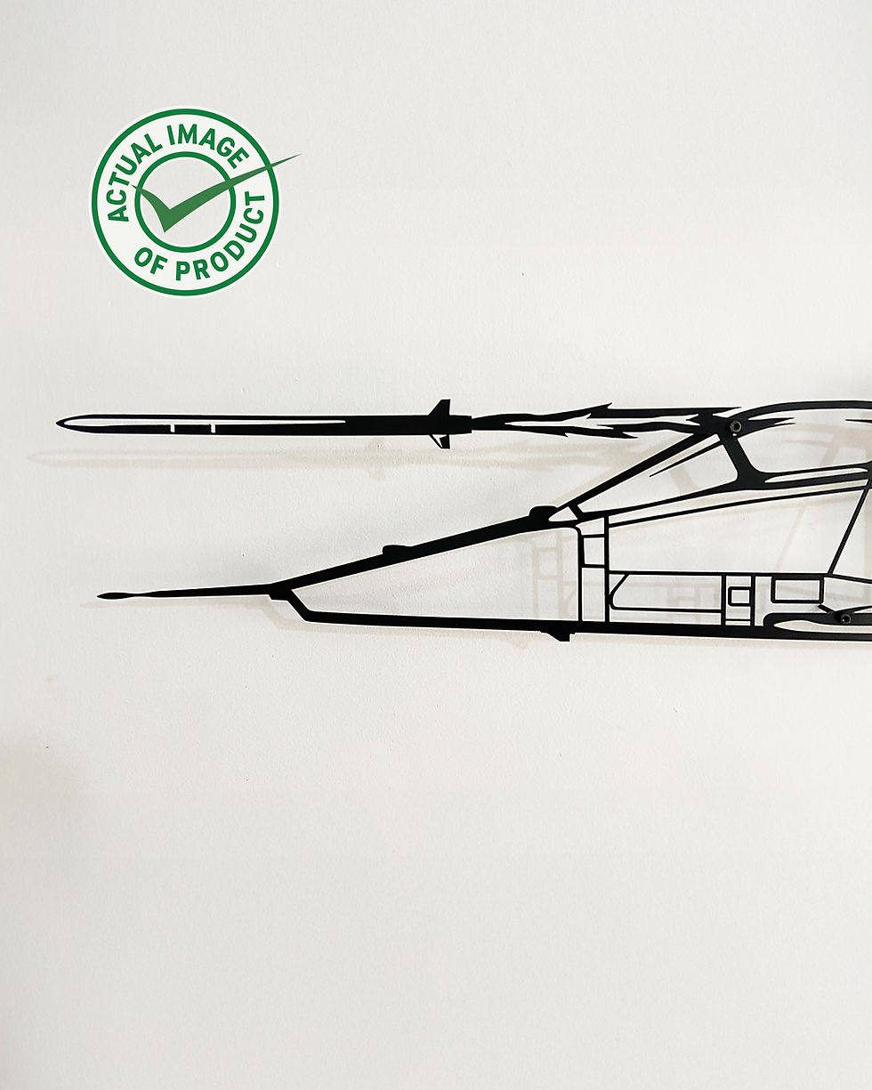 Thumbnail: SEPECAT Jaguar - DARIN II - Clean - 47” size