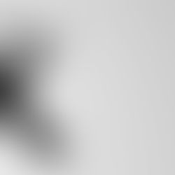 Companheiro (a), tem direito a pensão por morte ?