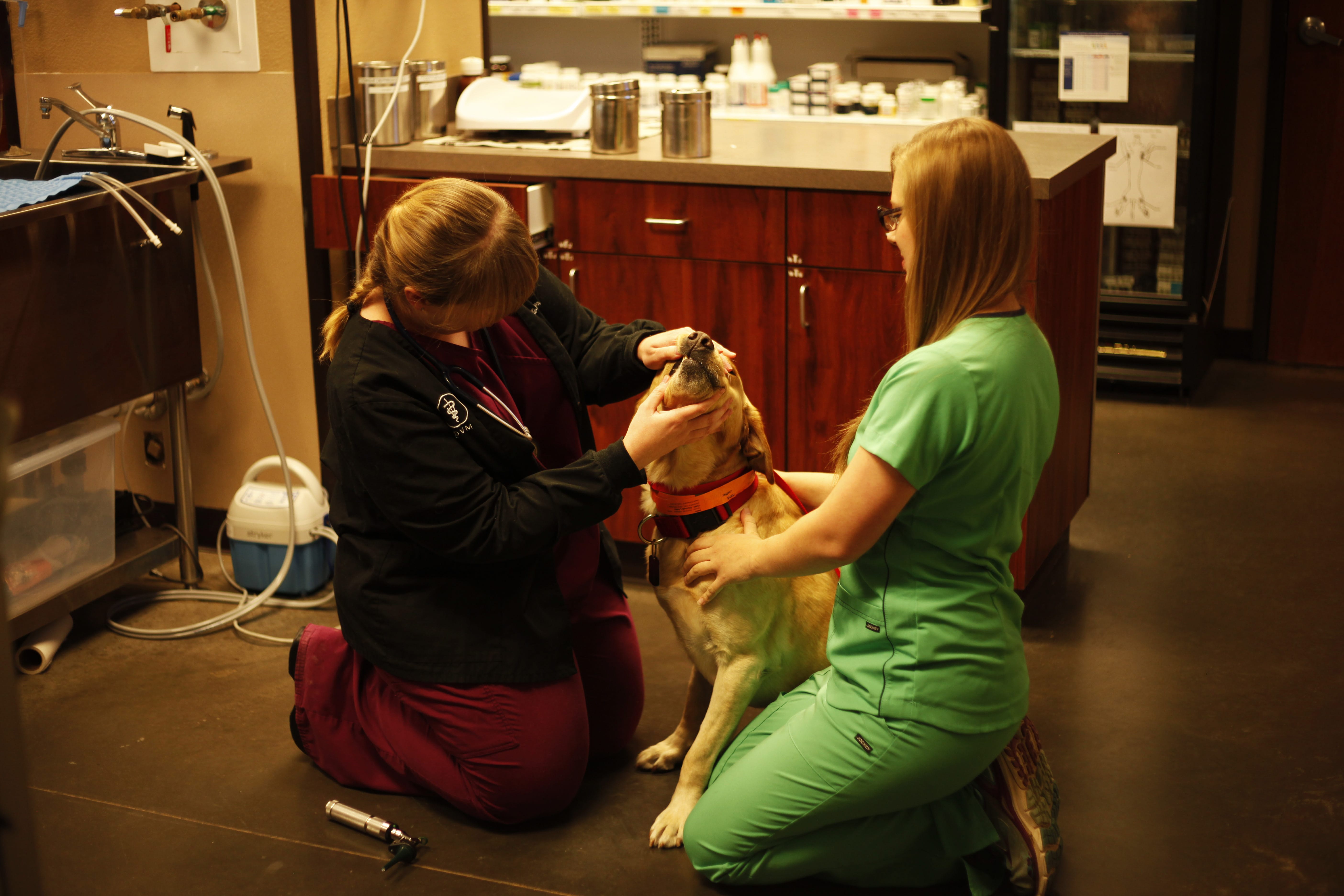 Dr. Dodson and Kenzie