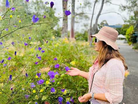 Kunzea: “The smell of the Australian bush”