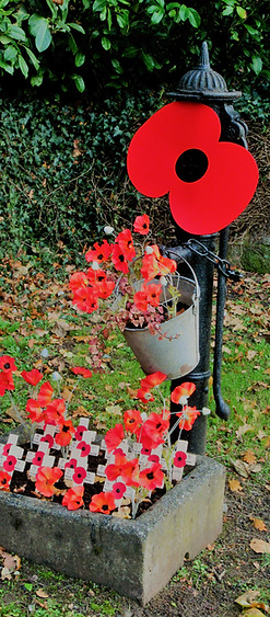 Poppies.JPG