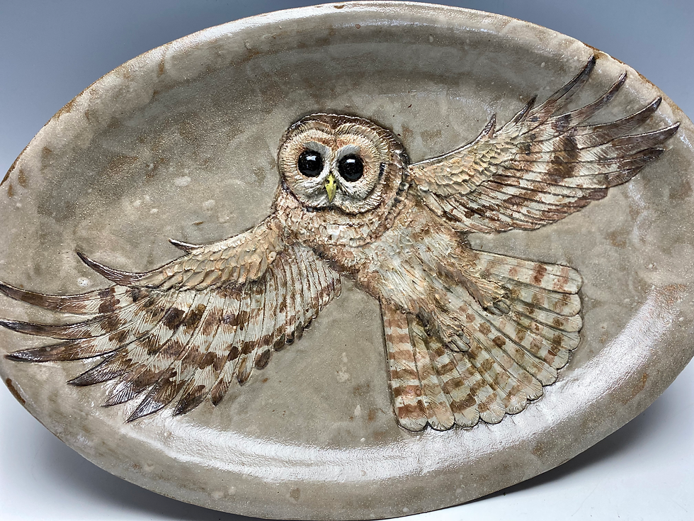 Mexican Spotted Owl