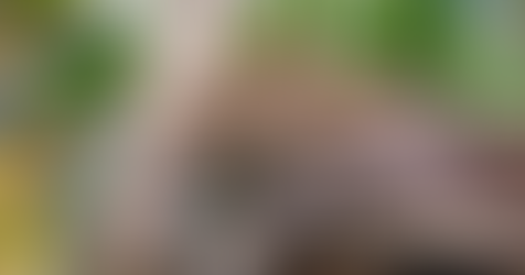 7 Most Endangered Animals In India In 2024: You Need To Observe Before They Fade Away