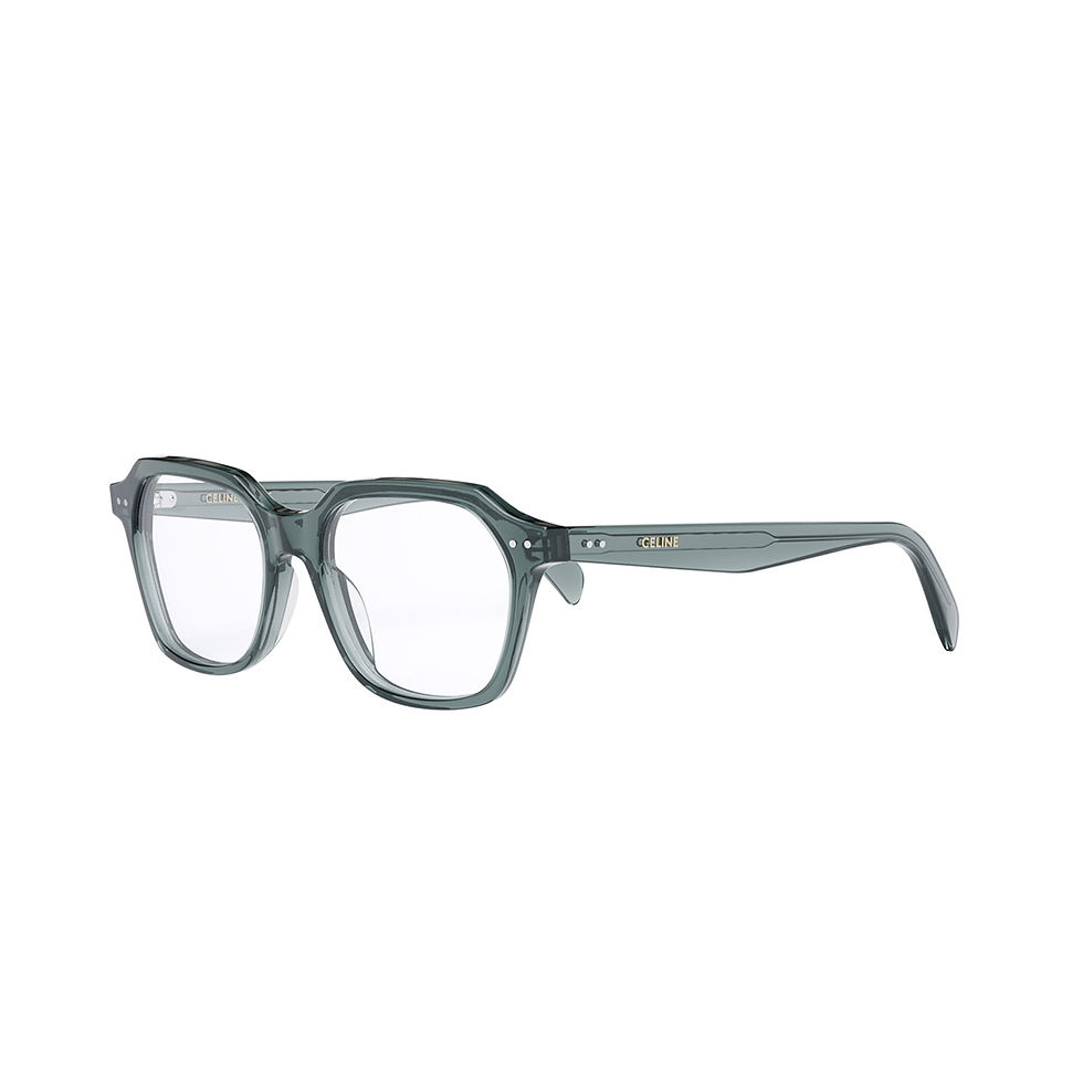 CELINE CL50127I 093