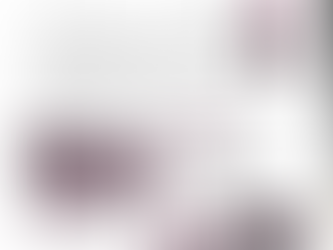 第47号広報はなにしまちづくり