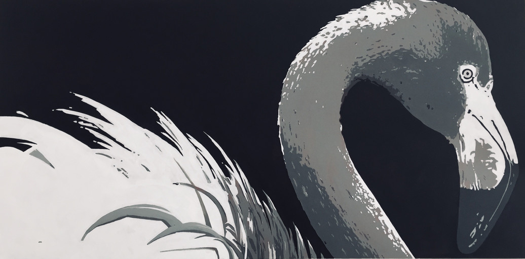 flamingo