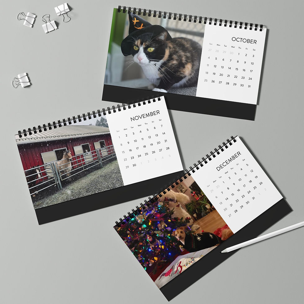 Thumbnail: Emerald City Pet Rescue 2026 Desktop Calendar