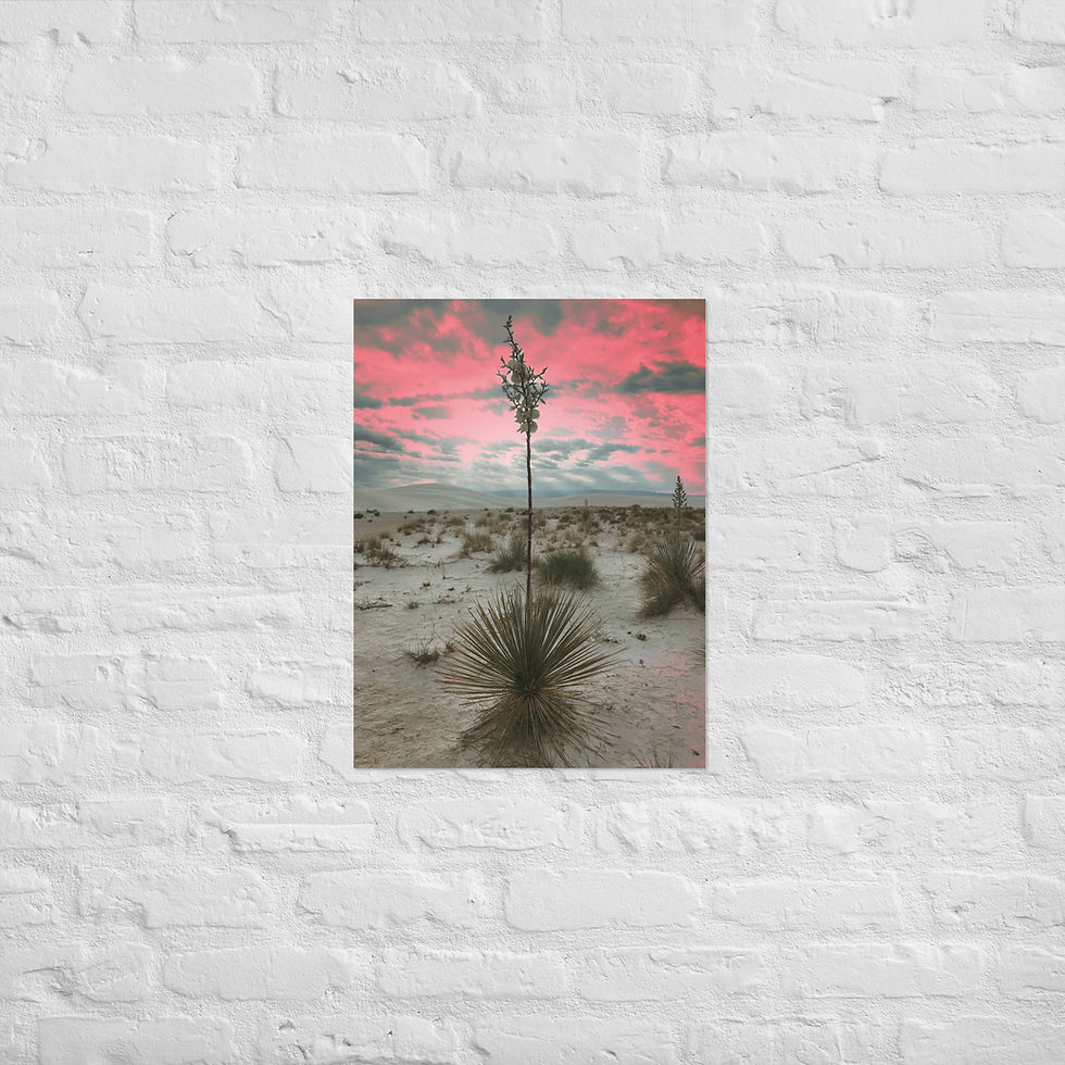 Thumbnail: Yucca Sunrise Print