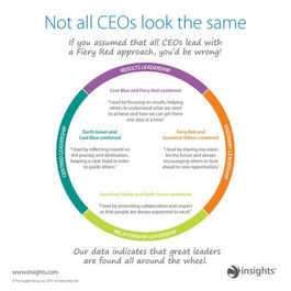 Not all CEO's look the same