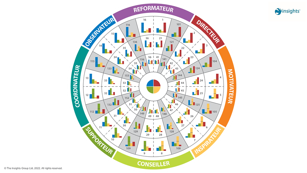 Creator Insight Program Make a Difference - Become an Insights Discovery Licensed or Client ...