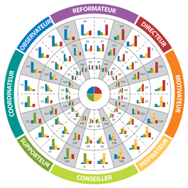 Make a Difference - Become an Insights Discovery Licensed or Client Practitioner