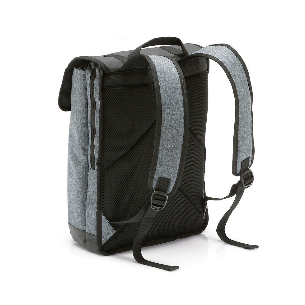 Miniatiūra: TRAVELLER