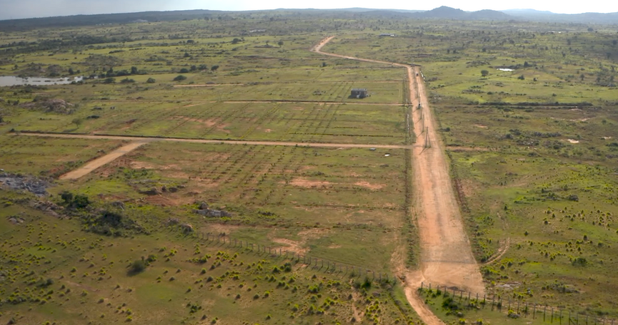 Real Estate Digital Marketing