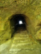 ree