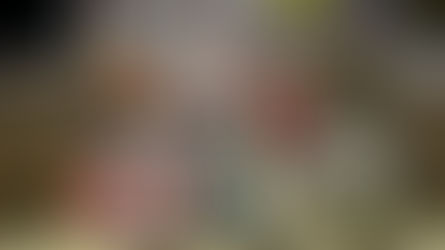 Flick Becomes 150th Different 410 Winner