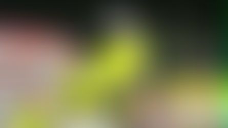 Steven Snyder Jr. Scores First Williams Grove Sprint Win