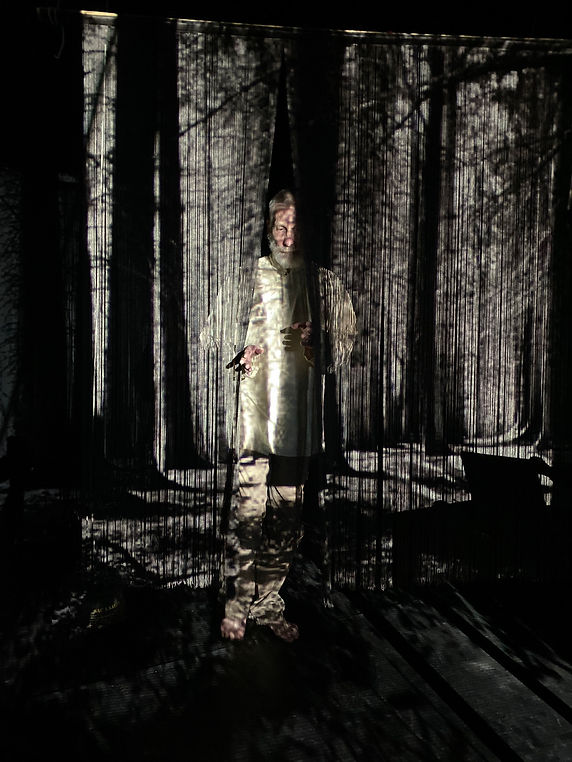 Vorkouta foret 2.jpg