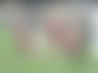 Équipe de soccer réunie sur le terrain — un partenariat construit autour de valeurs partagées