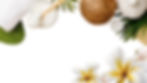 banniere-site-opetitssoinsdelo_edited.jpg