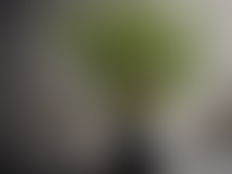 Eco-Friendly Home Decor Must-Haves for Nature Lovers