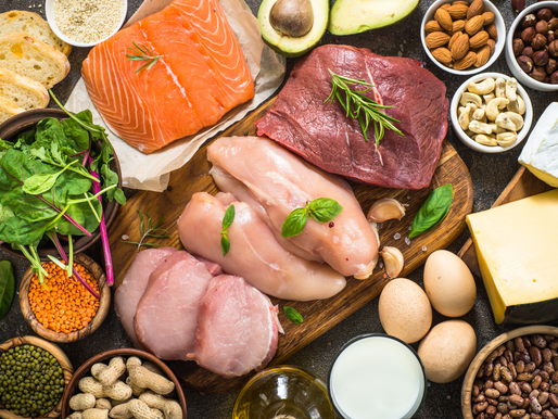 Best Protein Foods While Losing Weight